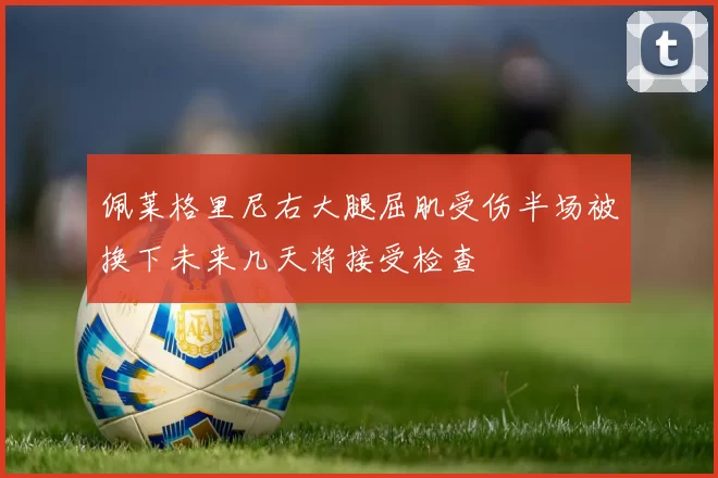 佩莱格里尼右大腿屈肌受伤半场被换下未来几天将接受检查