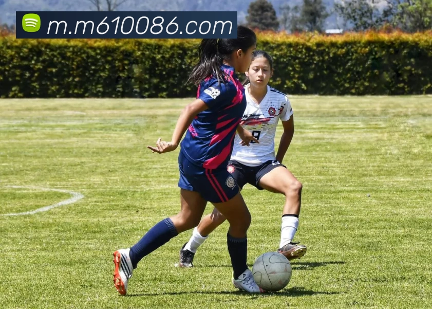 米乐体育APP 封面图